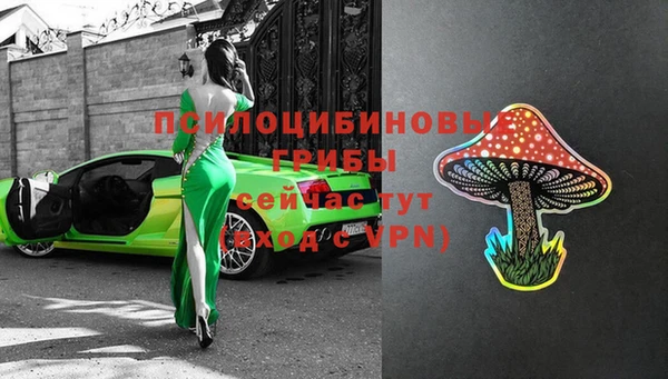 таблы Няндома