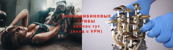 таблы Няндома