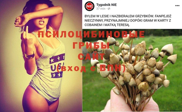 шишки Нязепетровск