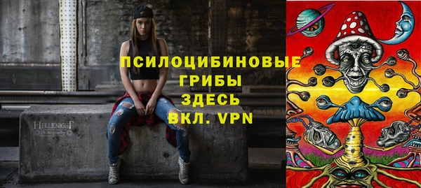 таблы Няндома