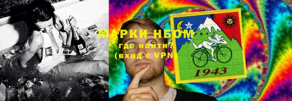 шишки Нязепетровск
