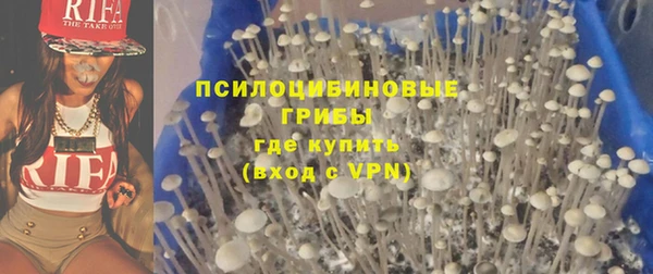 шишки Нязепетровск