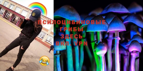 таблы Няндома