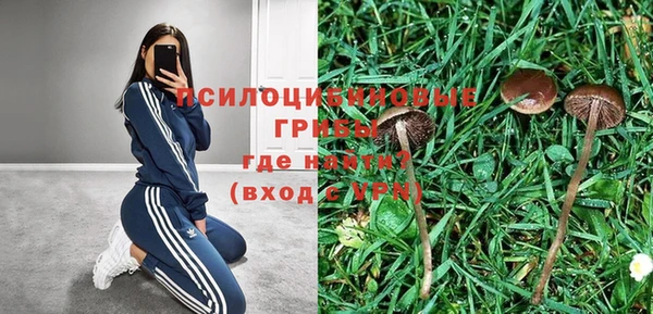 Альфа ПВП Нягань