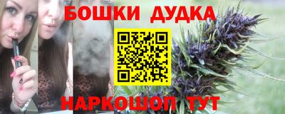 дживик Нарткала